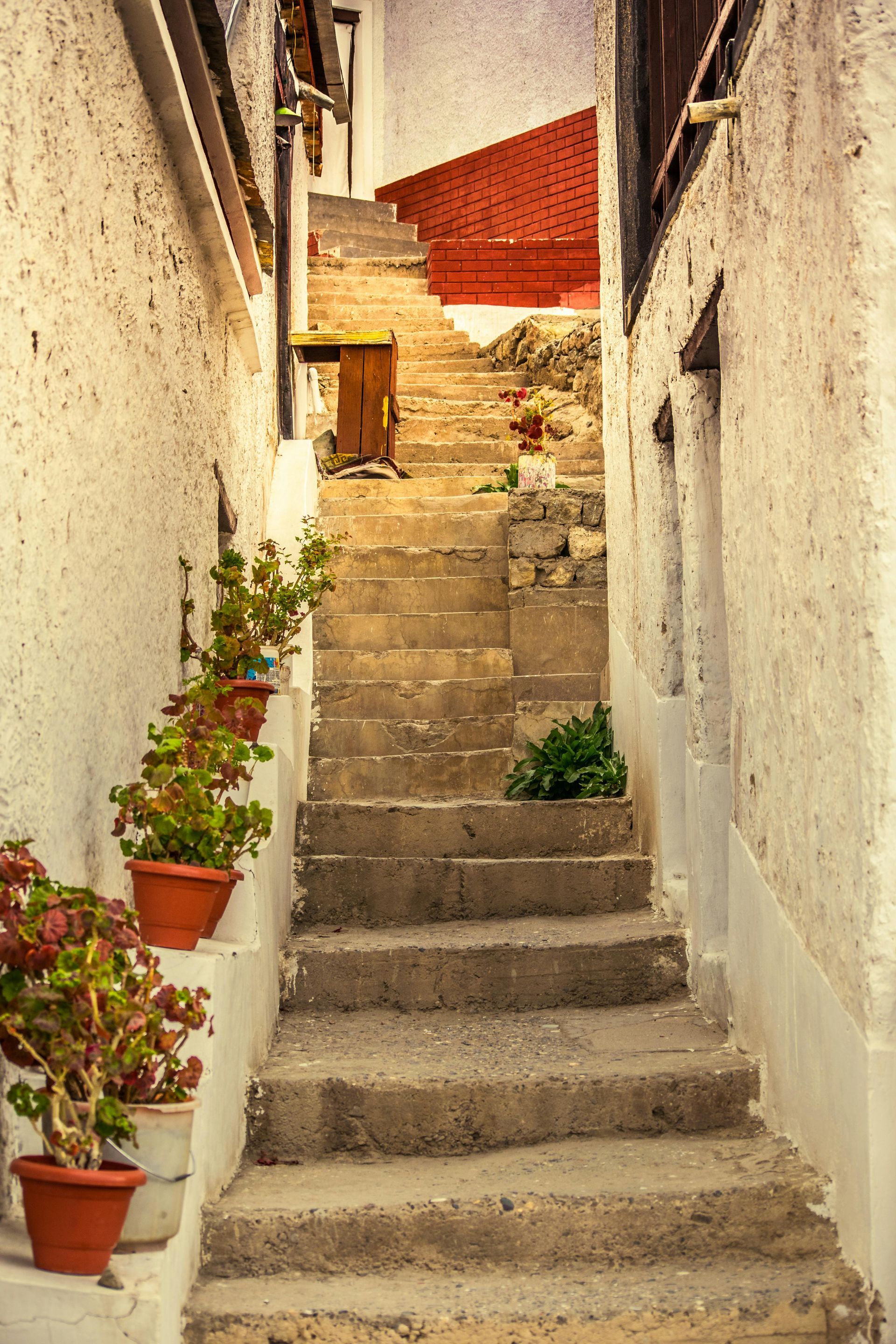 Stone staircase between white buildings, pots of plants line the walls. Red roof visible at top.