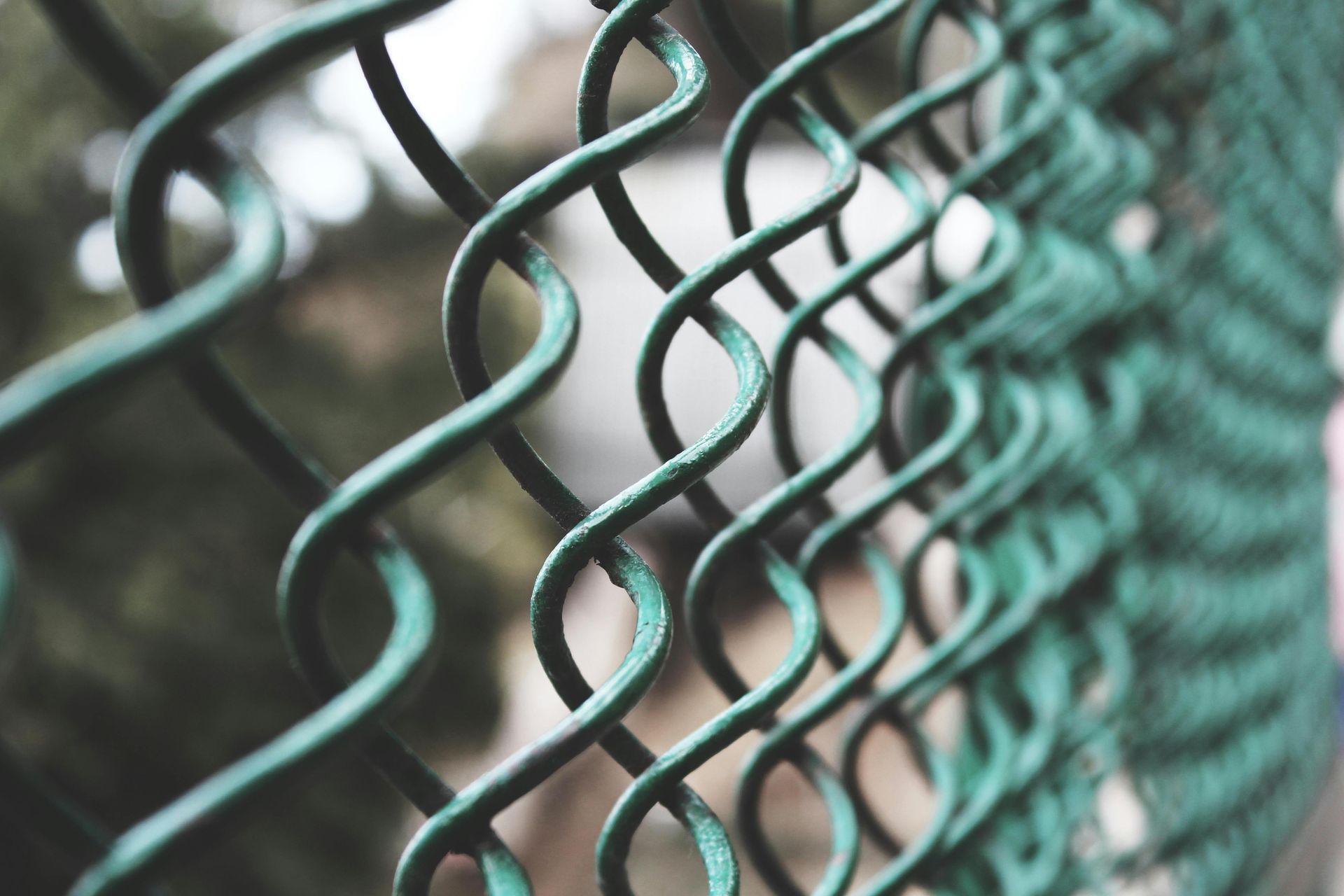 Green chain link fence, close-up, with blurred background of trees and sky.