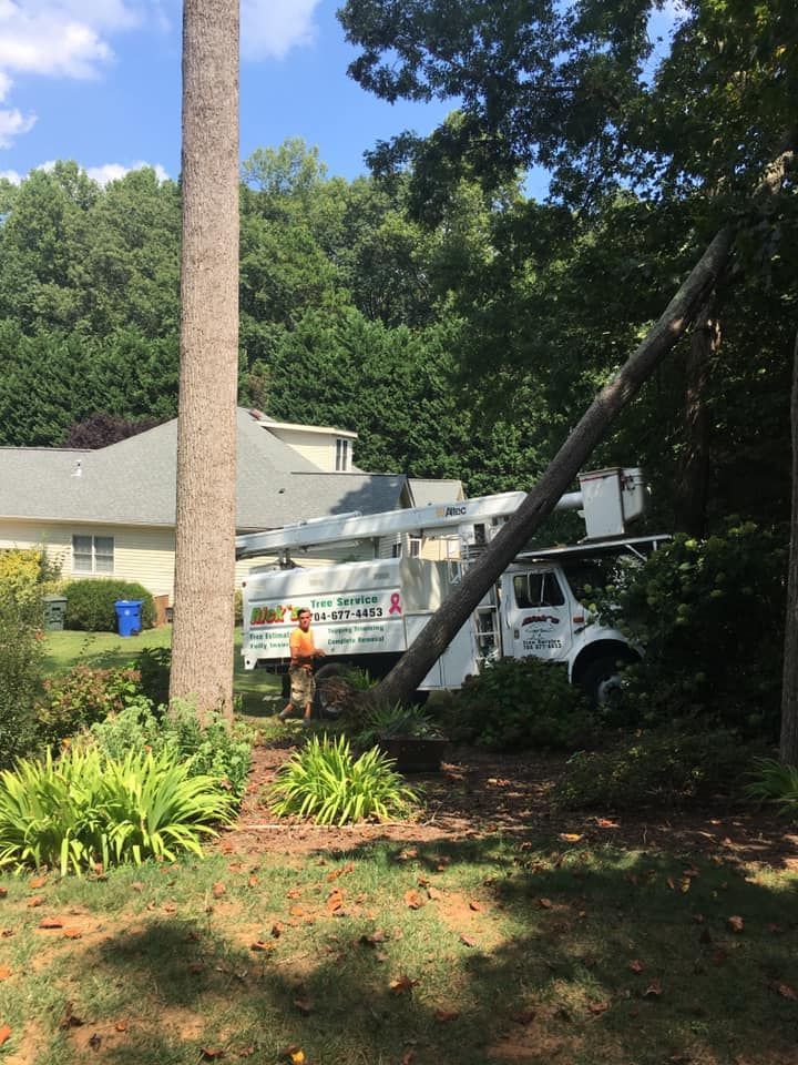 tree removal mooresville nc
