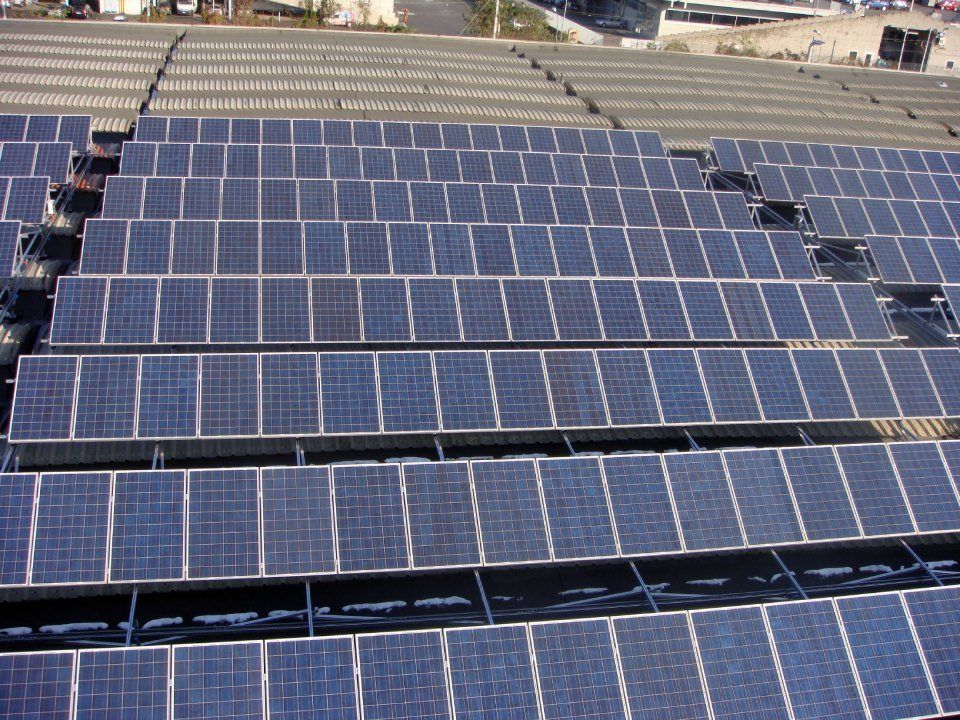 file di pannelli fotovoltaici per uso industriale