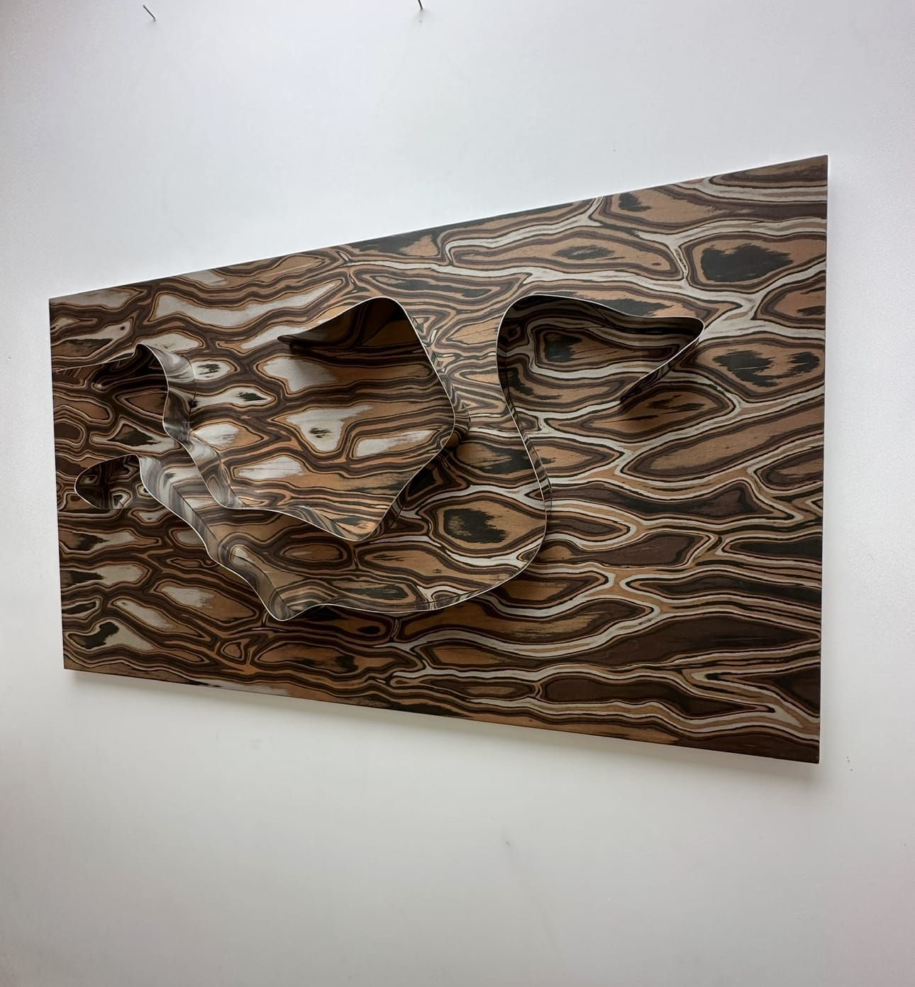 Scultura in rilievo in legno montata su una parete bianca; forma organica astratta in tonalità di marrone e beige.