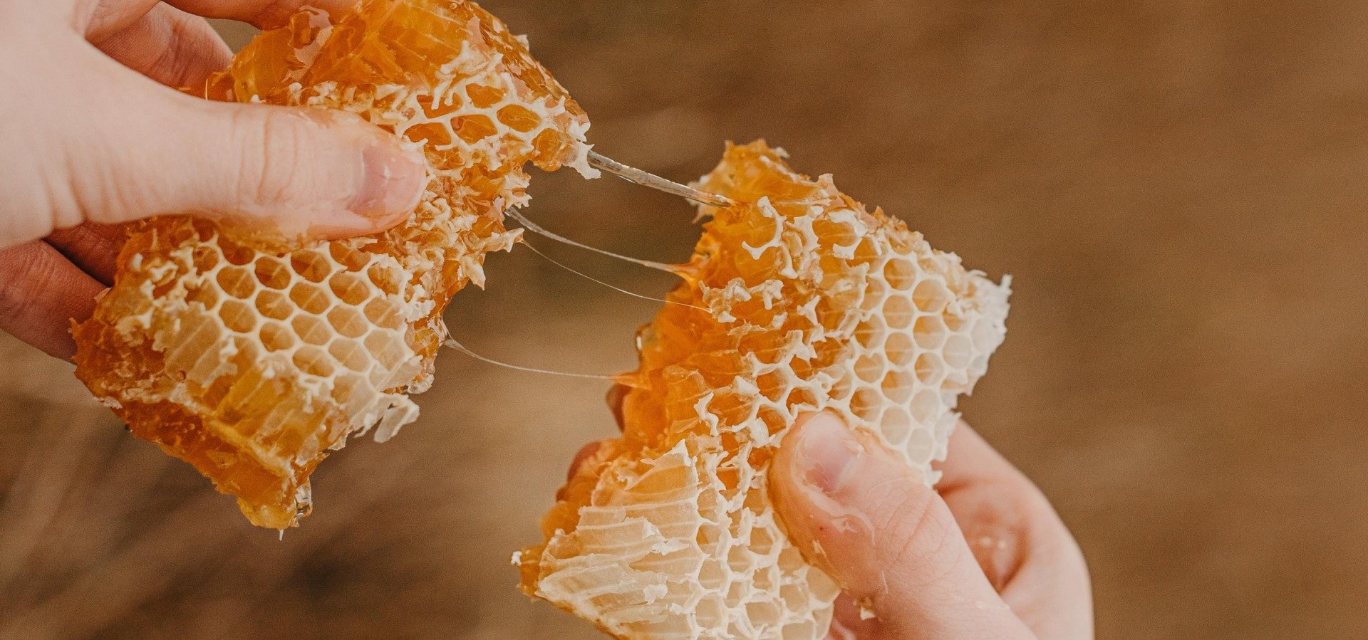 A person is holding a piece of Colorado honeycomb in their hands.