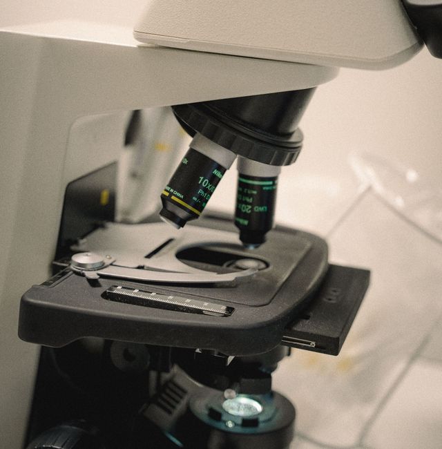 Katta eshak Ular Sankt-Peterburgda porno uchun bir qizni suratga olishdi.