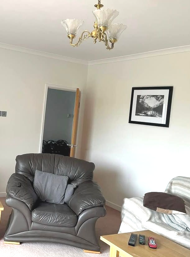 Living room: dark brown armchair, gold chandelier, framed photo, wooden coffee table.