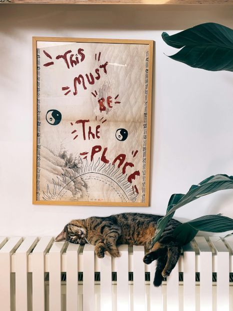 Two cats are laying on a radiator under a sign that says this must be the place