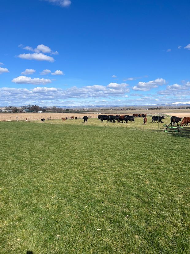 A package of ground beef is sitting on a yellow table