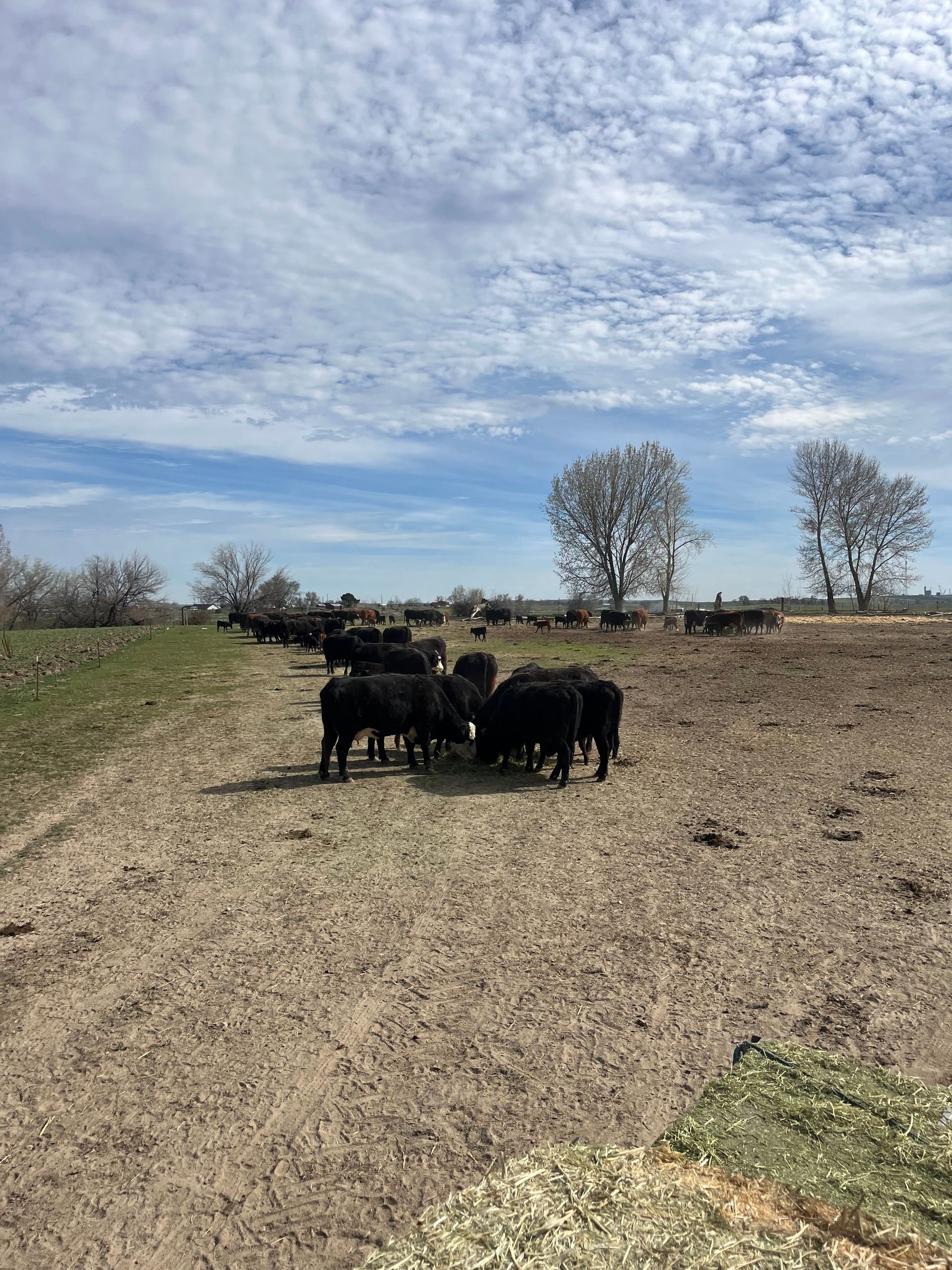 A package of ground beef is sitting on a yellow table