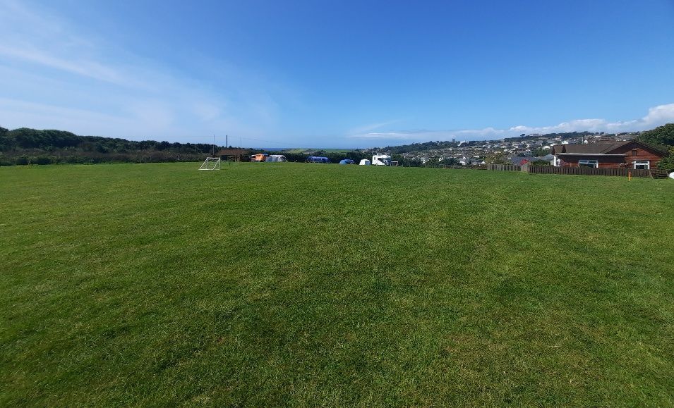 Green grassy field and blue sky with trees and hedges on a sunny day. 