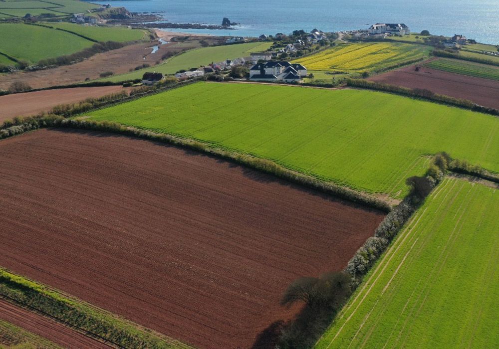 Fields of varying colors (brown, green, yellow) with hedgerows, buildings, and ocean in the background.