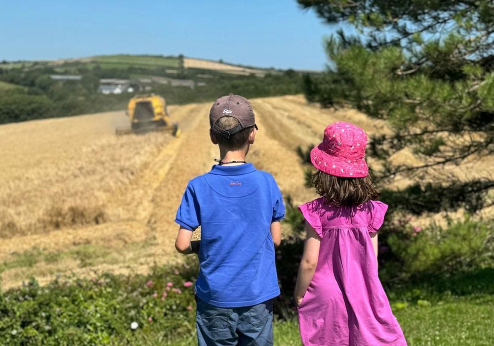 Two children watch a combine harvester work in a wheat field on a sunny day.