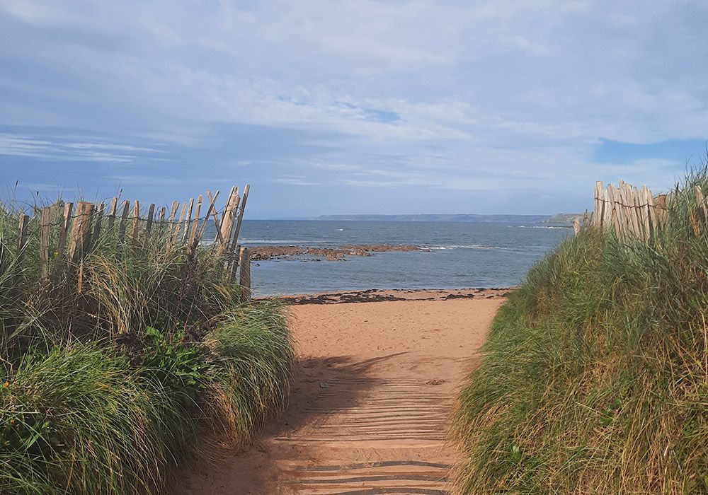 Sandy path through tall grass leads to a beach and sea under a cloudy sky.