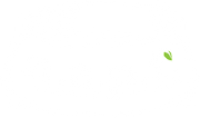 Napf natürliches Hundefutter
