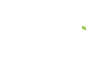 Napf natürliches Hundefutter