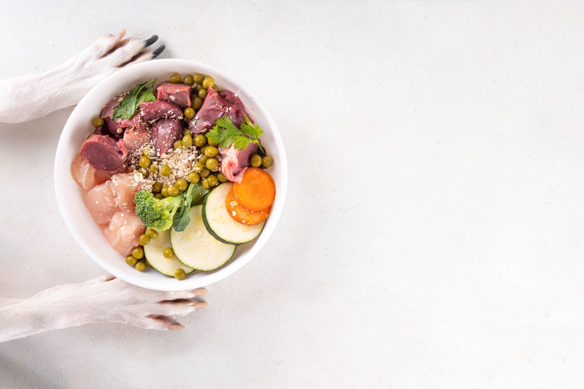 Hundepfote hält Schüssel mit rohem Fleisch, Gemüse und Erbsen.