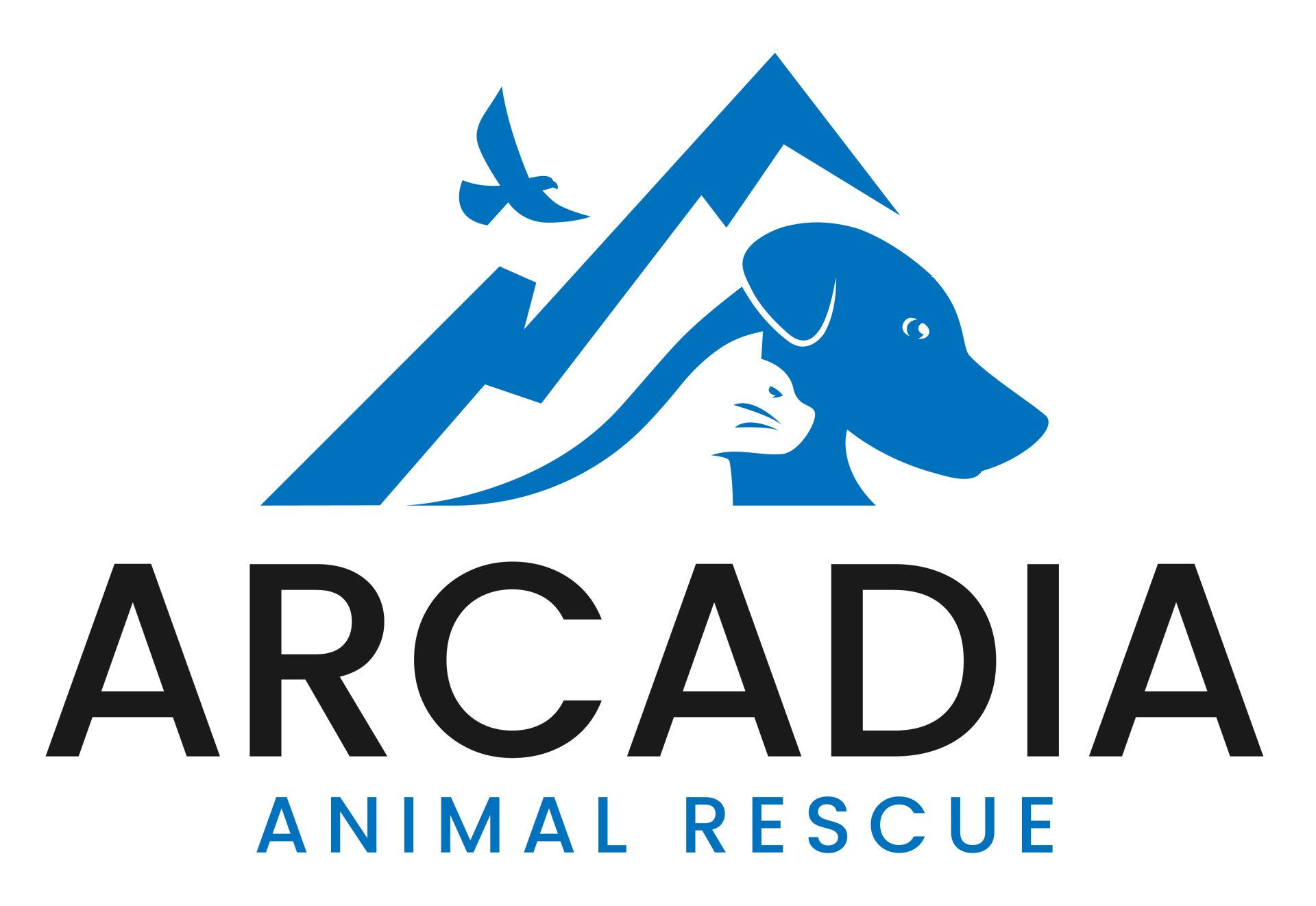 Welcome to Carolina Animal Rescue And Adoption