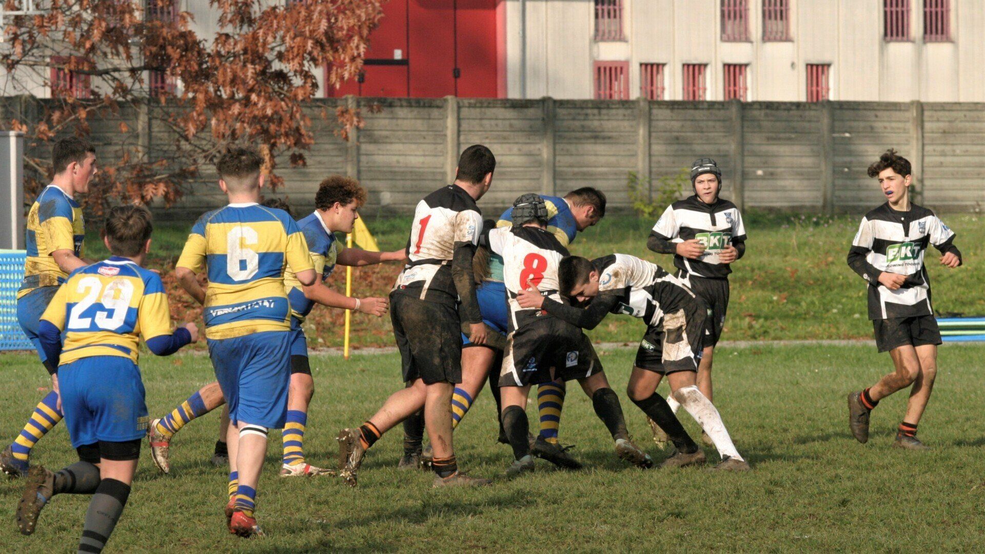 Un gruppo di giovani uomini sta giocando a rugby su un campo.