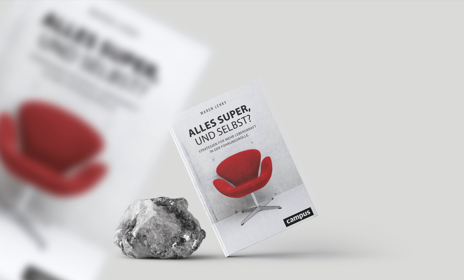 Maren Lehky Buch Lehky Consulting