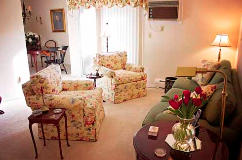 cooper two large comfy chairs