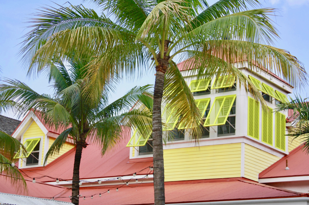 lime green Bahama shutters on building