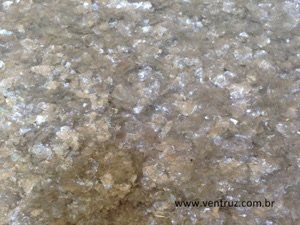 Mica diversas malhas