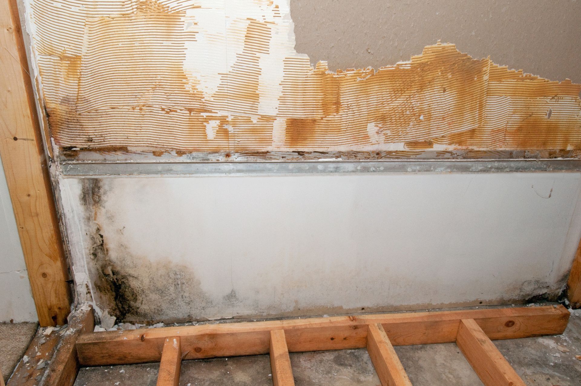 Wall with mold damage, showing peeling wallpaper and water stains on the wall and wooden frame.