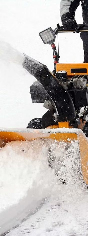Red lawnmower on green grass, partially visible. Outdoors, daylight.