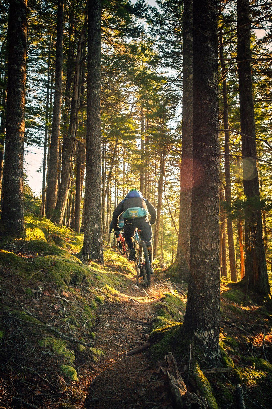 Mountain Biking and Other Summer Activities