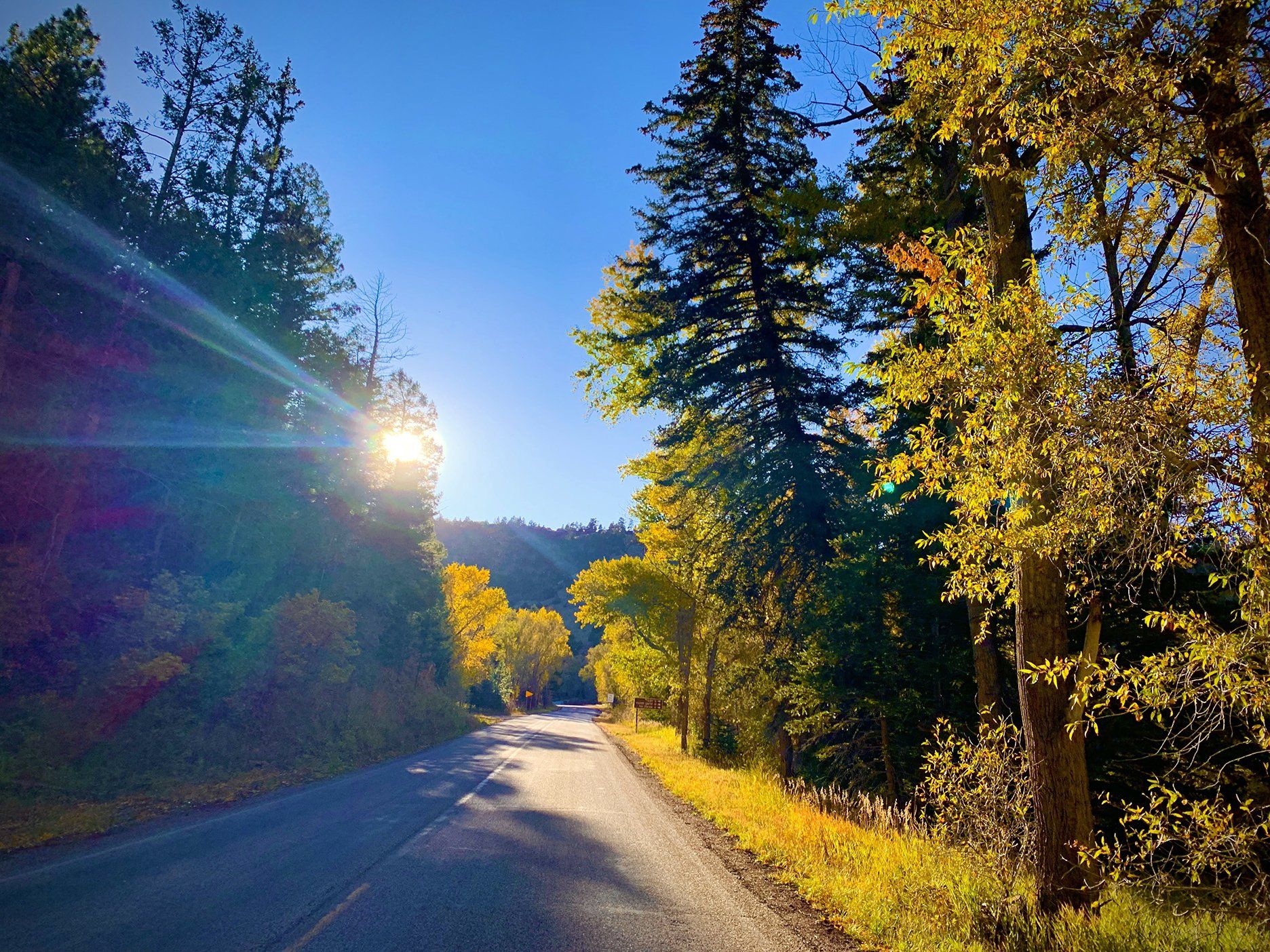 Road to Soaring Eagle Lodge