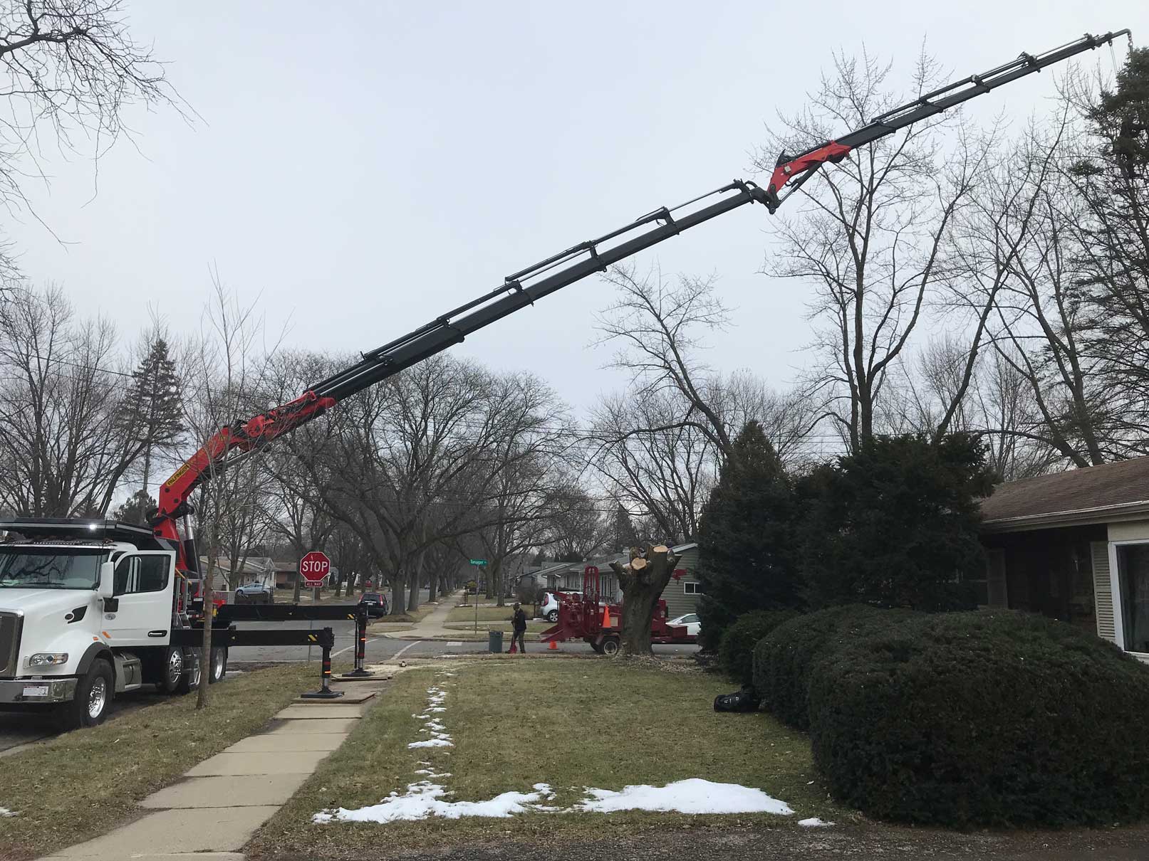 Crane with a long reach — Madison, WI — Treewerx