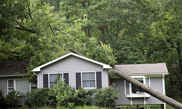 Emergency Services & Storm Damage — Madison, WI — Treewerx