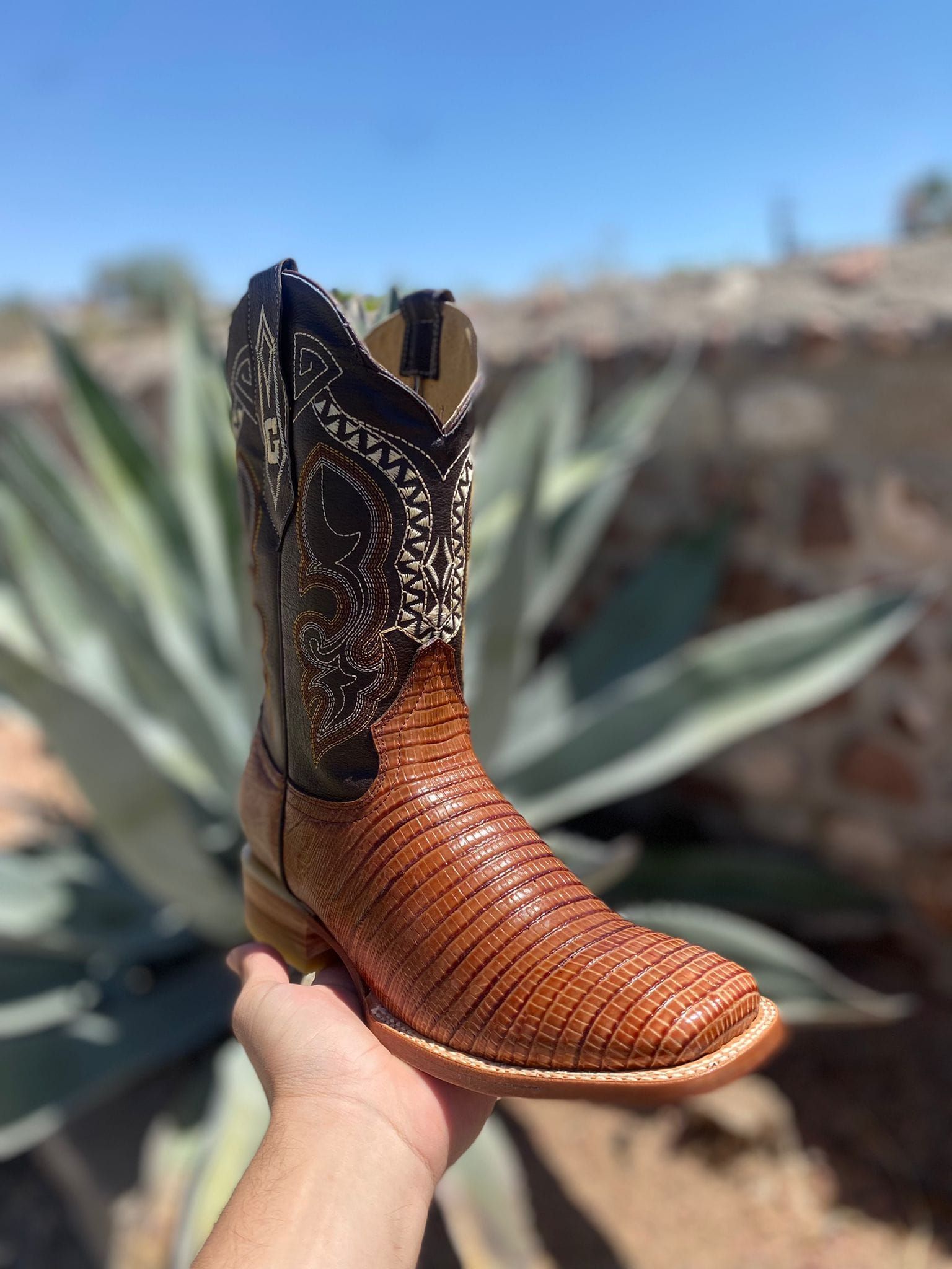 A person is holding a pair of brown cowboy boots in front of a plant.