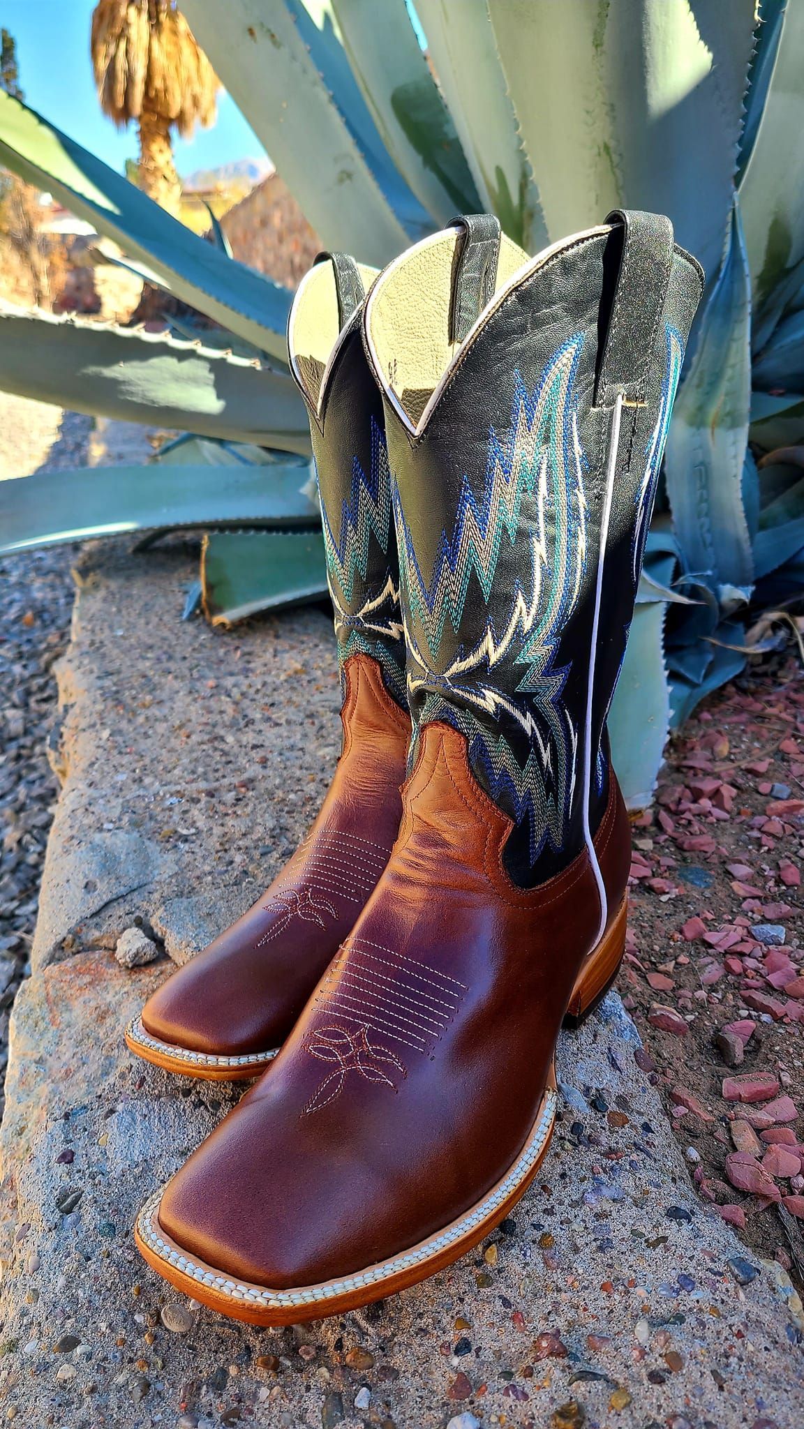 A pair of cowboy boots are sitting on top of a rock next to a plant.