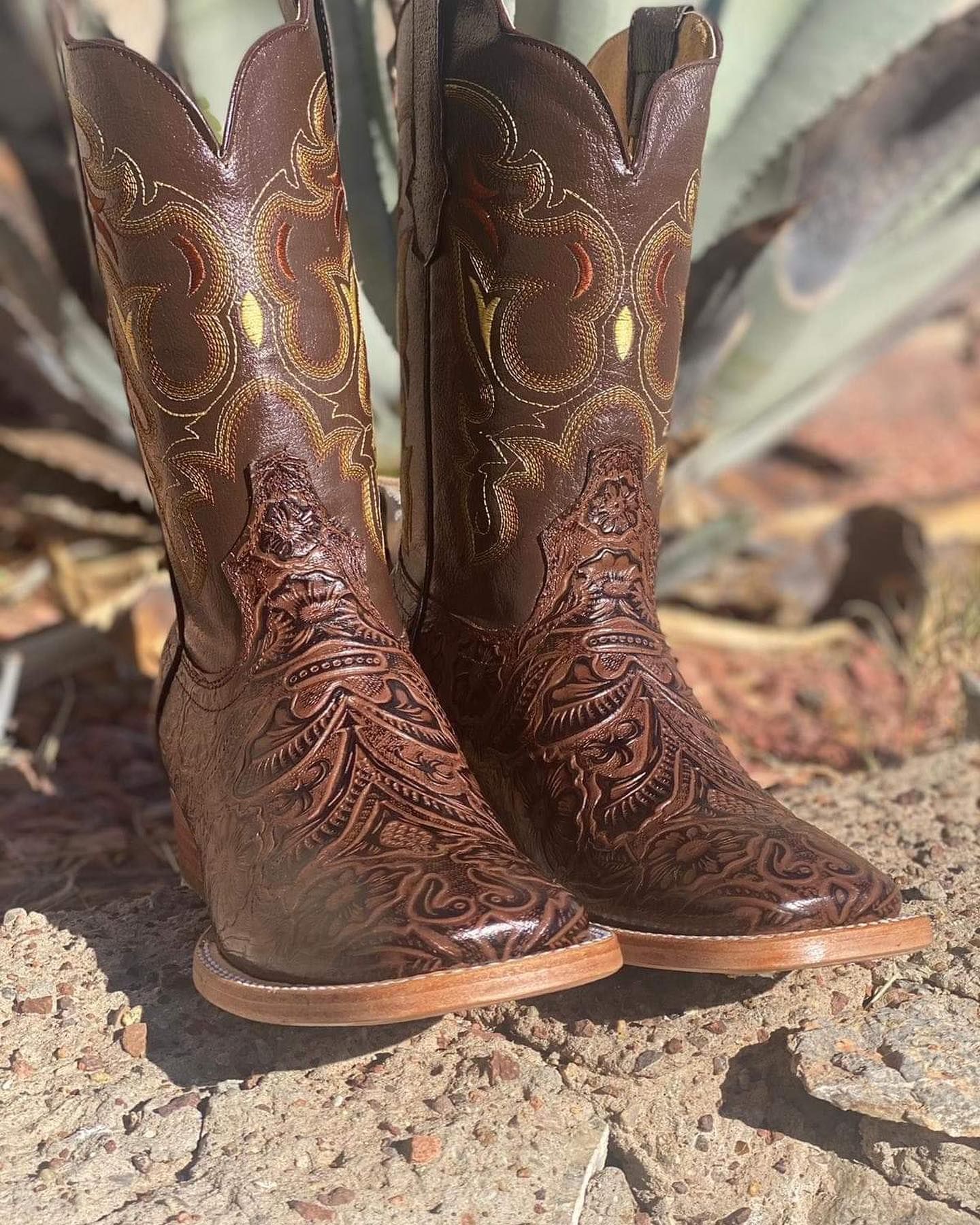 A pair of brown cowboy boots are sitting on the ground next to a plant.
