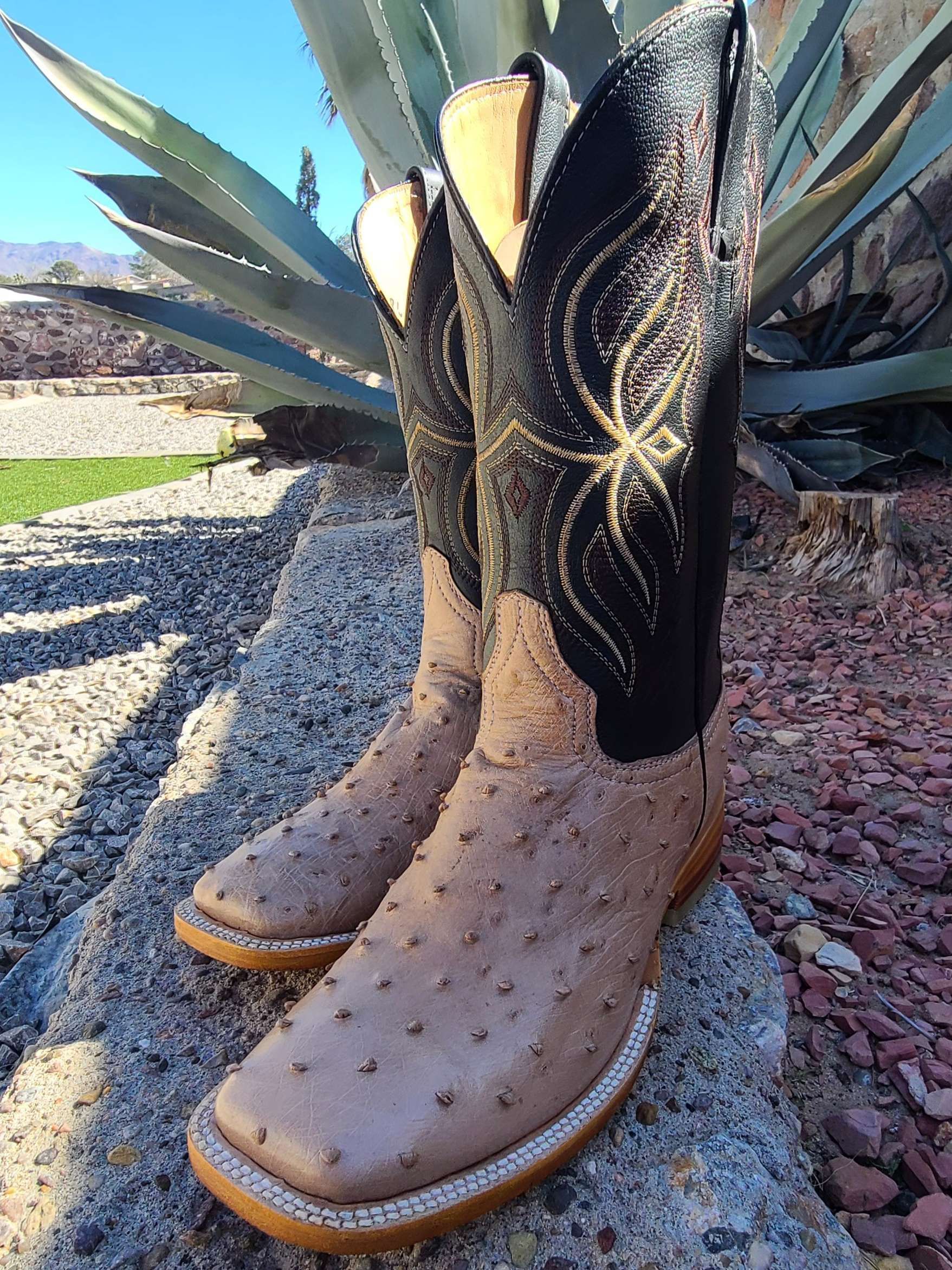 A pair of cowboy boots are sitting on a rock next to a plant.