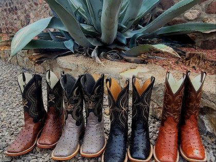 A row of cowboy boots are lined up in front of a plant.
