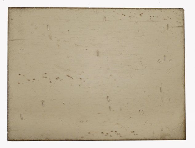 Complete Contract Paints & Stains