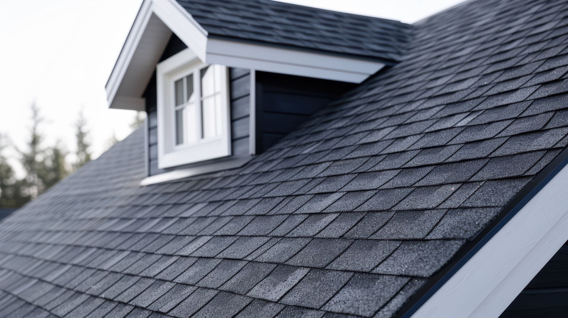 Asphalt Shingles Roof