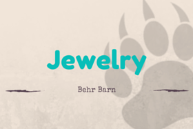 Jewelry title in teal over a beige background with a faint gray paw print and small “Behr Barn” text