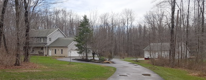 A house is sitting on the side of a road in the middle of a forest.