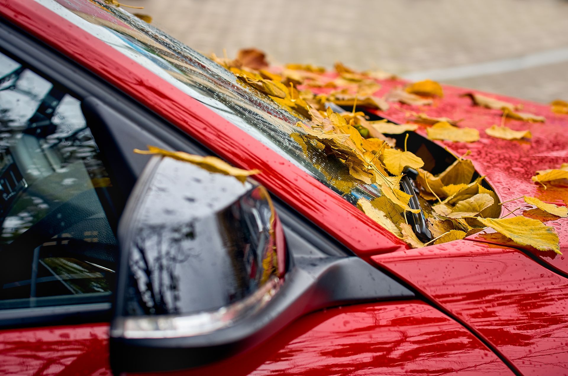 How Leaf Buildup Can Damage Your Car’s HVAC and Drainage | General Automotive Servicenter