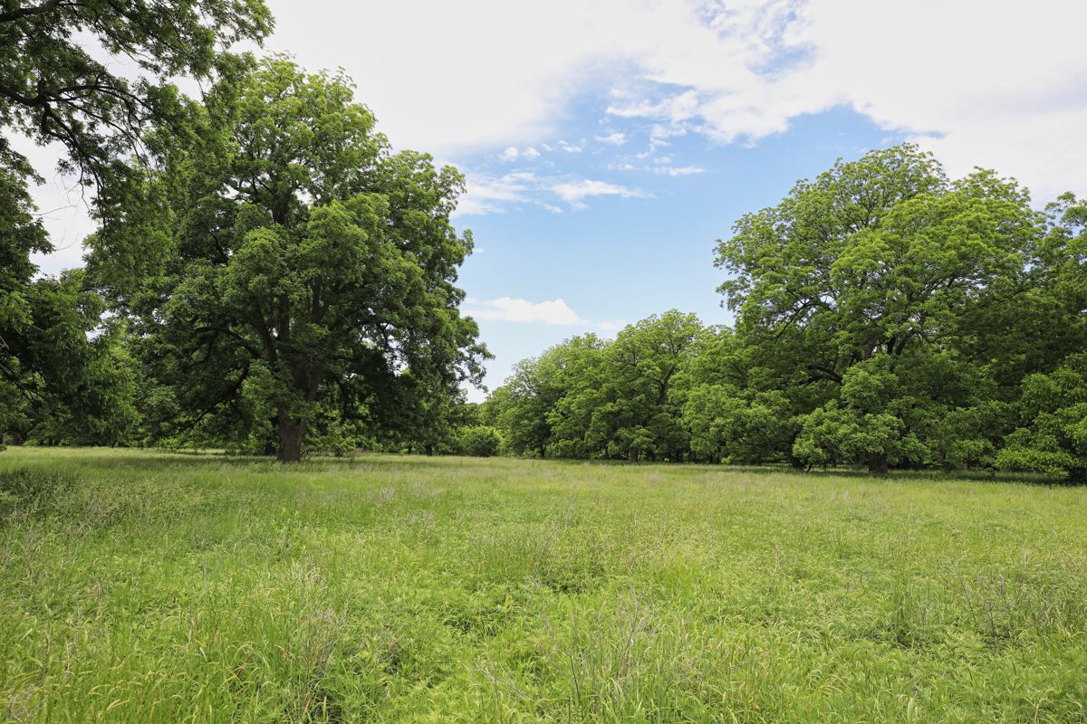 Pruit Ranch