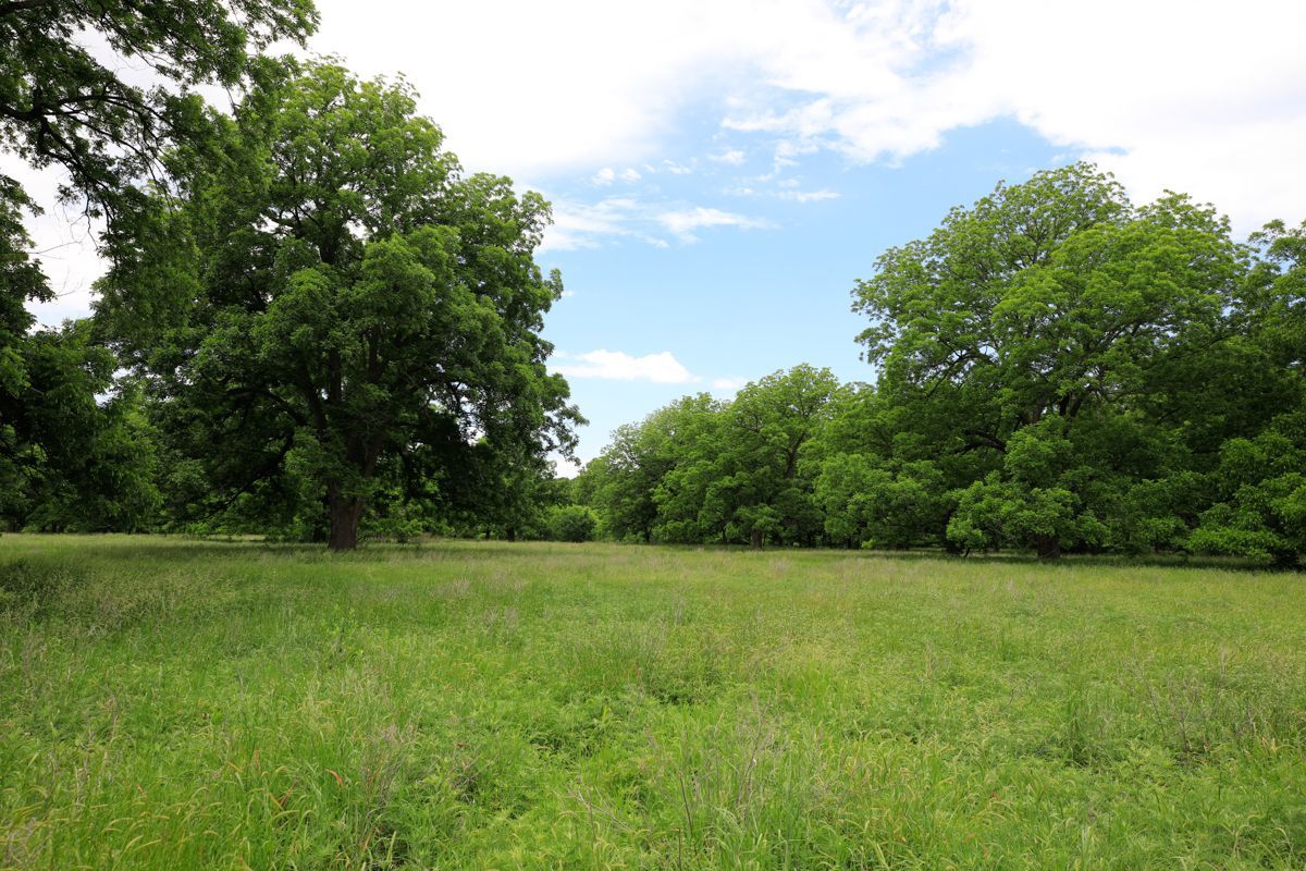 Pruit Ranch