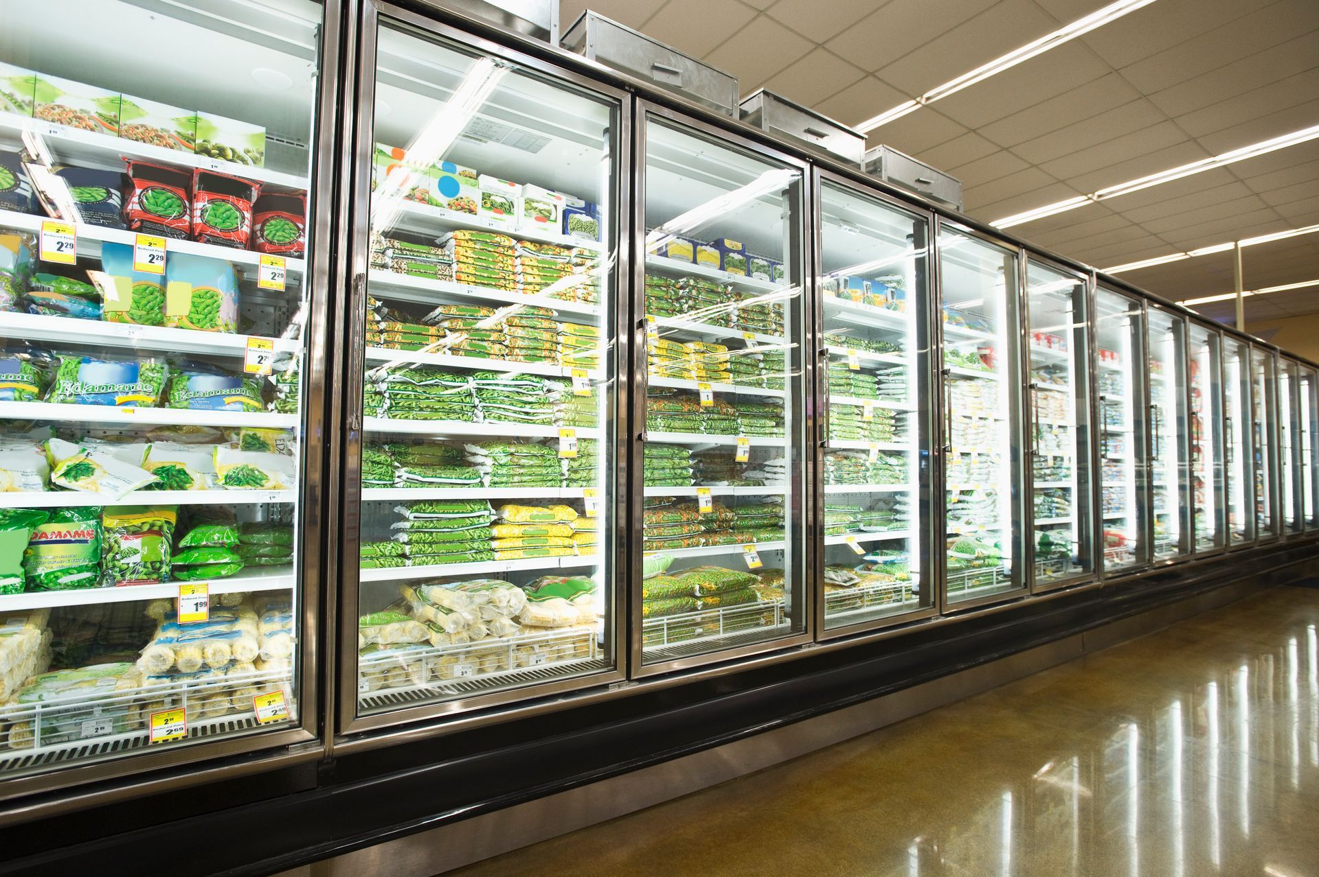 Supermarket commercial refrigeration aisle stocked with frozen food items.