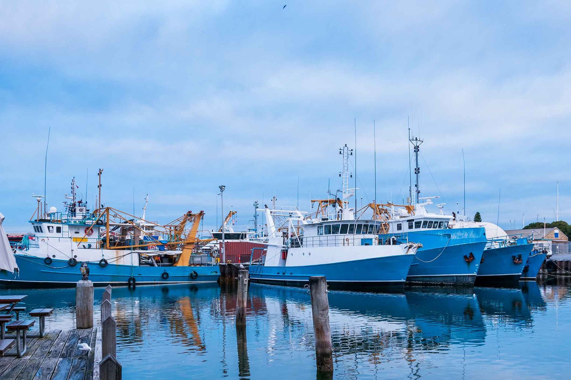 A group of boats are docked in a harbor.