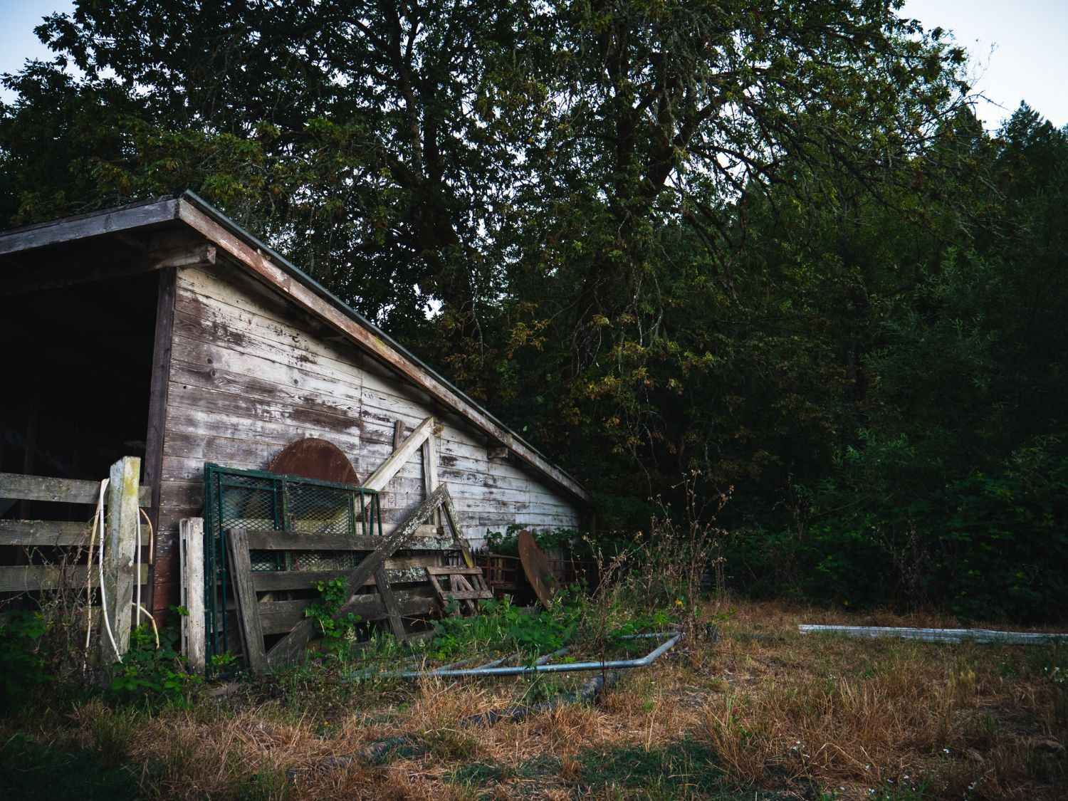 An old wooden barn is surrounded by trees in the middle of a field.