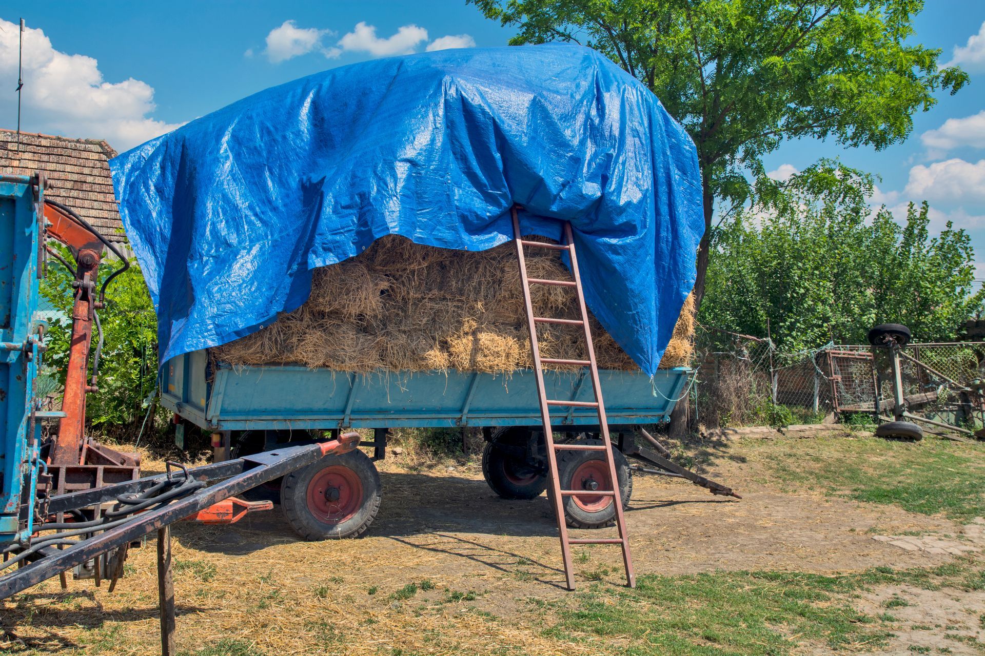 A trailer filled with hay is covered in a blue tarp.