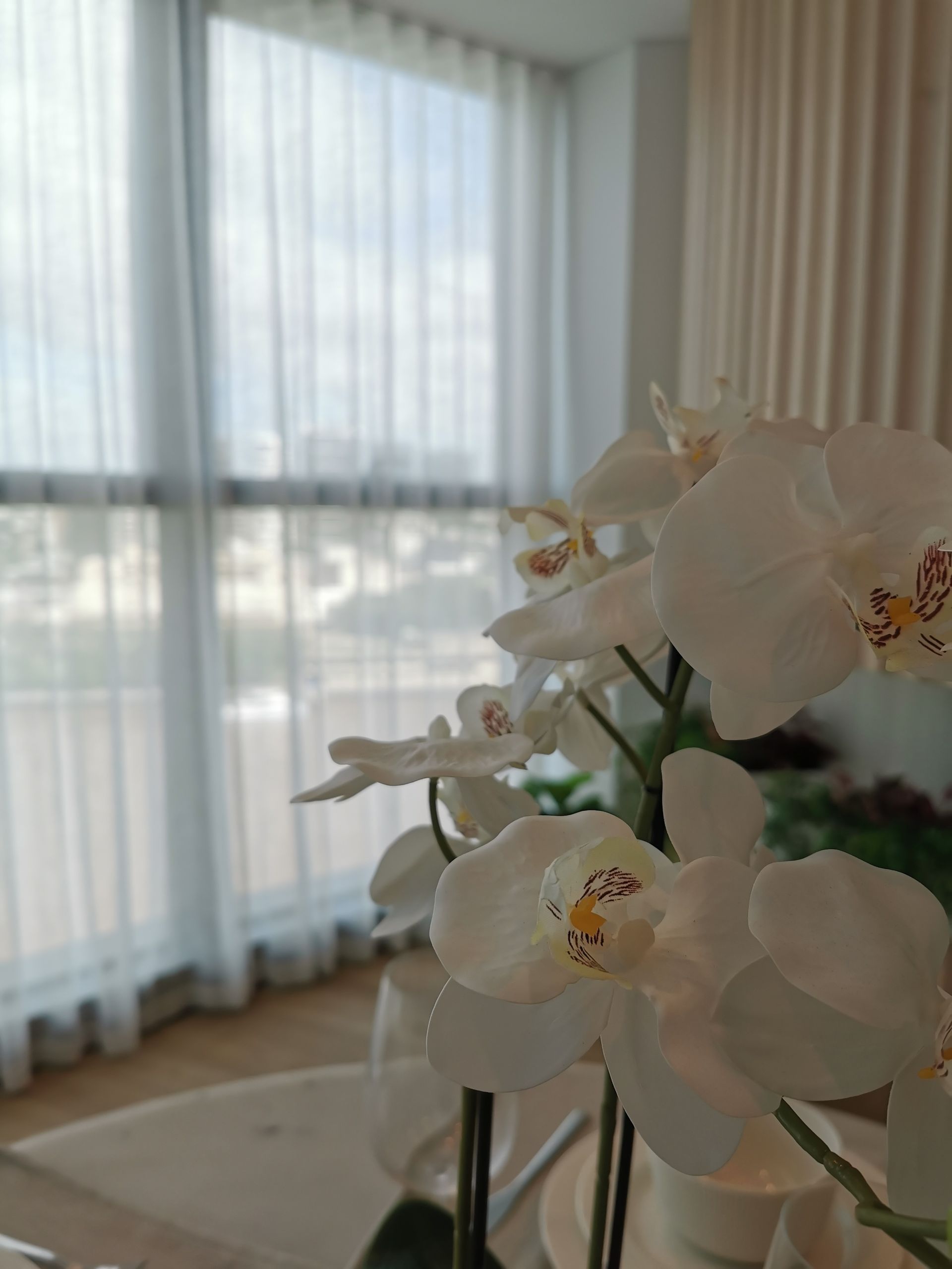 A vase of white orchids is sitting on a table in front of a window.