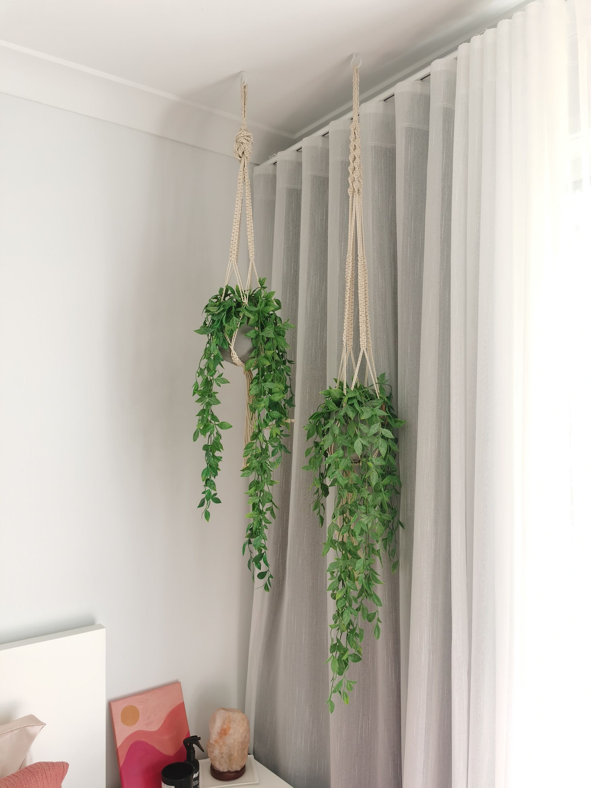 Two hanging plants are hanging from the ceiling in a room.