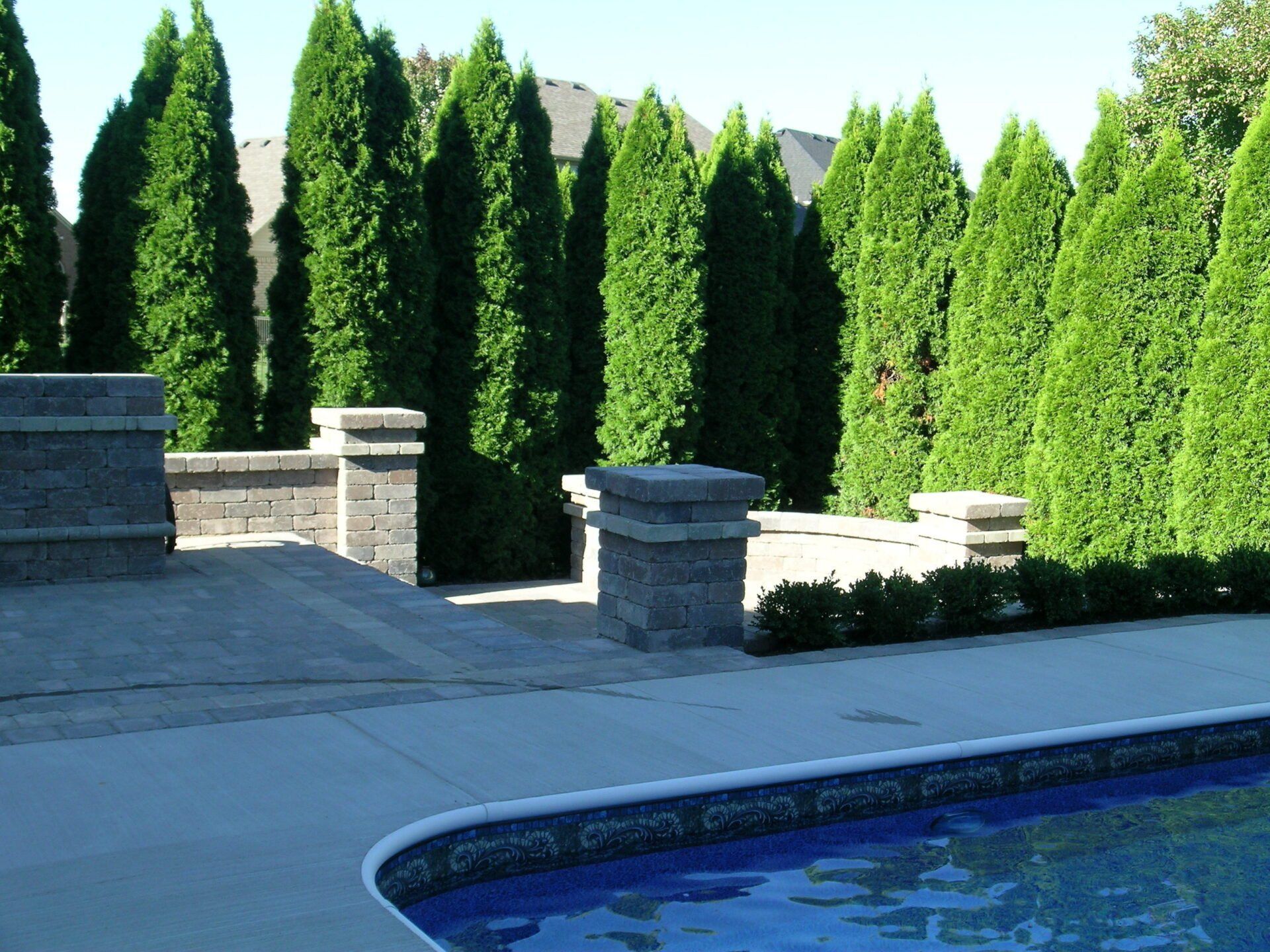 A swimming pool surrounded by trees and a brick wall