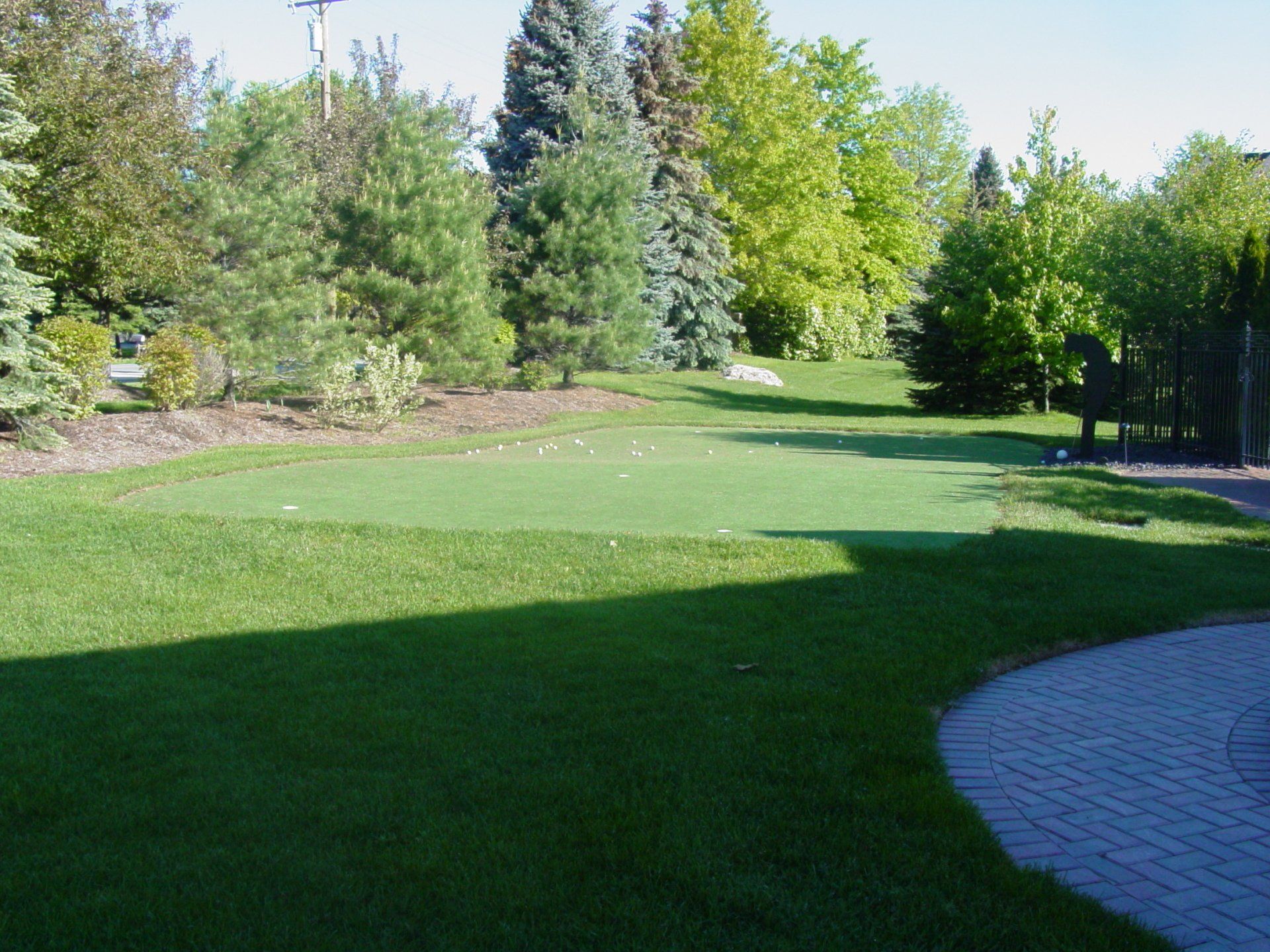 A lush green field with trees in the background